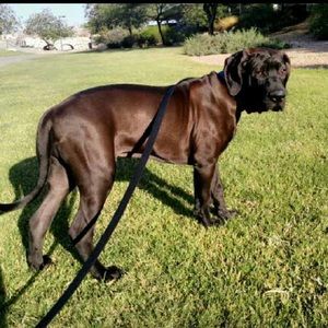 Meet your Posher, Sam